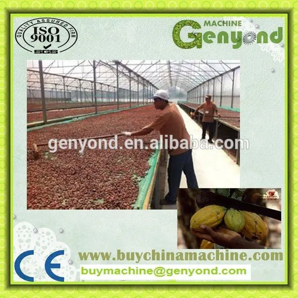 Complete Cocoa Bean Processing/roasting/peeling Plant photo-3