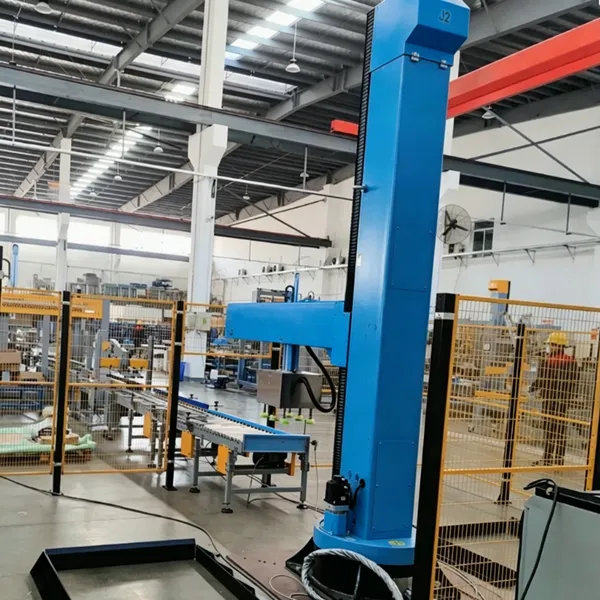 Single Arm Rotate Column Carton Case Palletizer Machine photo-5