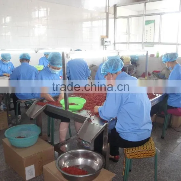 DRIED GOJI BERRY EXPORT photo-2