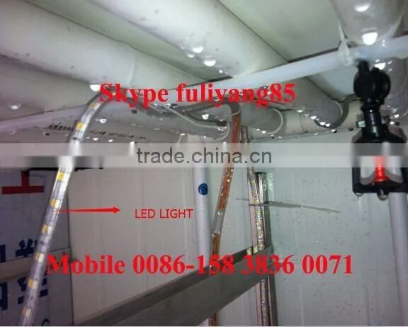 Hydroponic Growing Rooms Specifically Designed to Sprout Grain and Legume Seeds in Trays photo-2