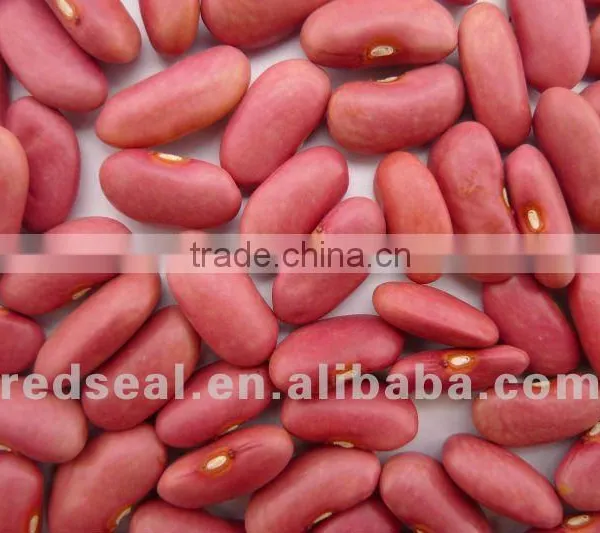 Organic Pink Kidney Beans 2016