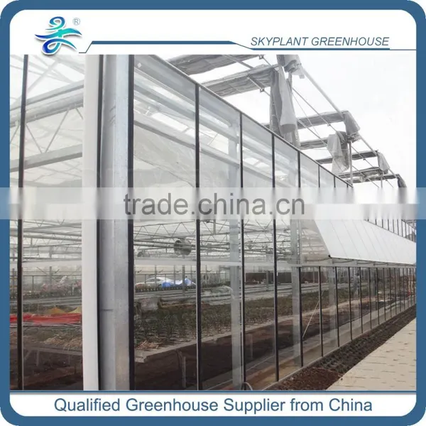 High Quality Glass Greenhouse for Vegetable Quality Choice photo-3
