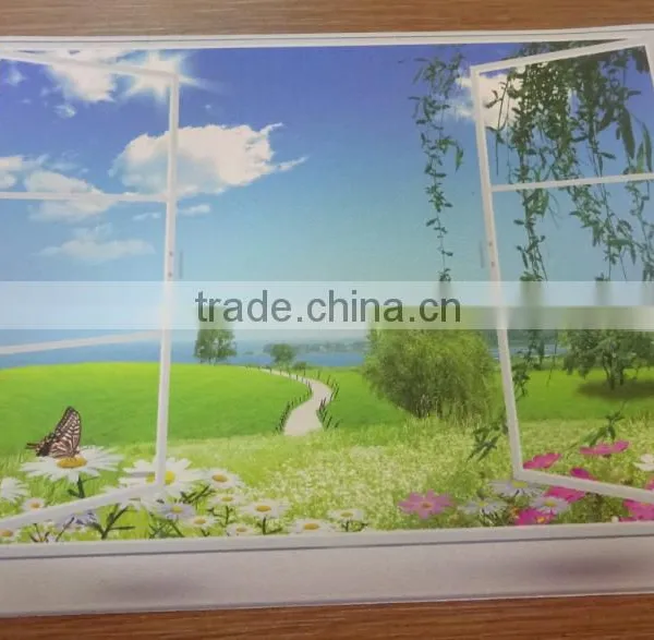 UV Printed Long Time Color Last Environmental Home Wallpaper photo-3