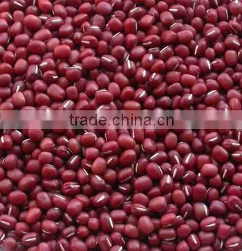 2016 New Crop Chinese Small Red Kidney Beans(Adzuki Beans) photo-3