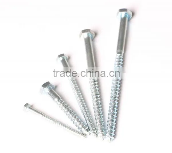 Stainless Steel Bugle Head Wood Screws Type17 photo-4