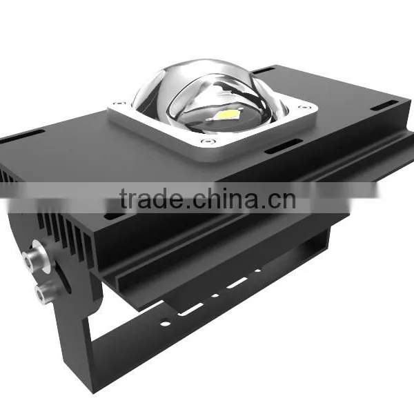 60W LED Module Flood Light Module 130 Lm/w Meanwell Driver photo-2