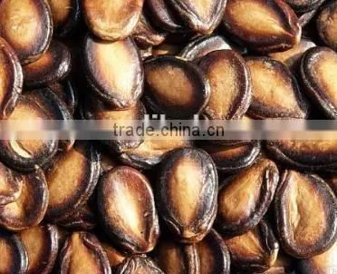 Roasted Watermelon Hot Sale in Market From Our Factory photo-5