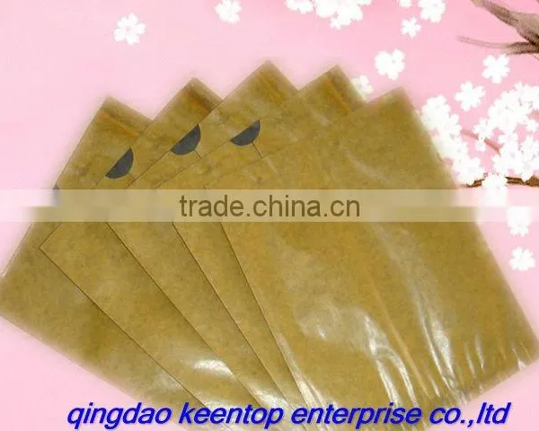 Fruit Growing Paper Bag