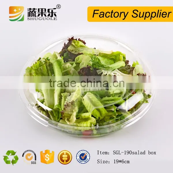 Disposable Plastic Fresh Salad Packing Container With Clear Hinged Lid photo-2