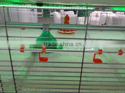 Automatic Poultry Nipple Drinker for Broiler and Breeder photo-2