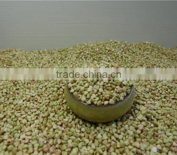 Chinese Best Raw Buckwheat Kernel photo-4