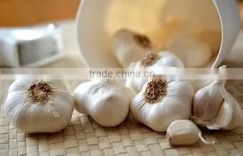 Organic Normal White Fresh Garlic photo-2