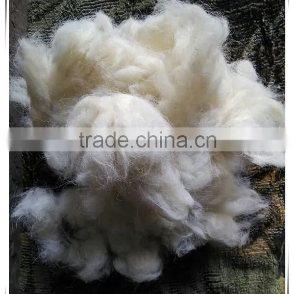 White Carding Wool Noils 26-28mic 30-45mm for Good Carpet and Felt photo-3