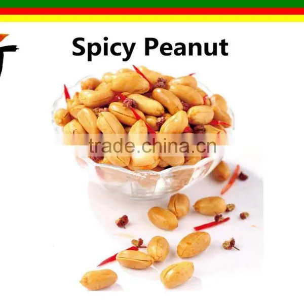 2015 New Crop Chinese Hot Selling New Production Roasted and Spicy Peanuts Fried and Spicy Peanuts Peanuts With Chilli photo-3