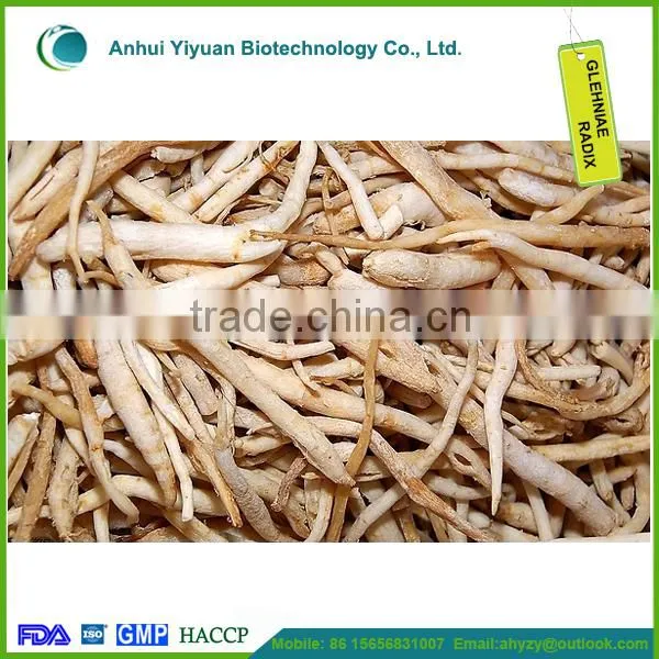Light Yellow Radix Glehniae and Coastal Glehnia Root Cut photo-3