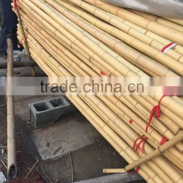 Bamboo Poles