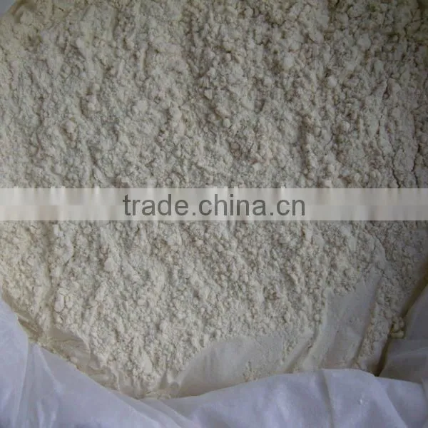 Garlic Extract Powder