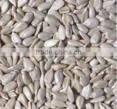 Sunflower Kernels