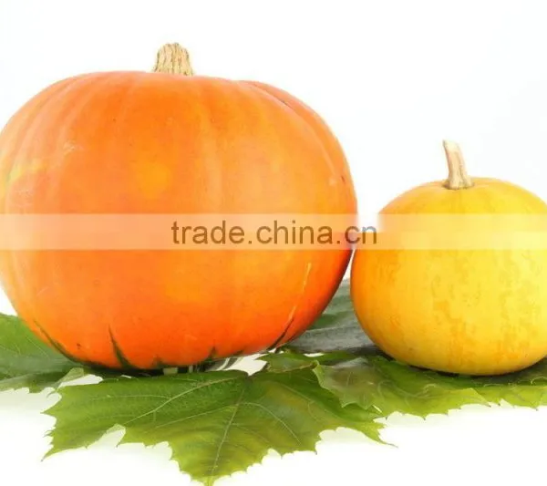 Organic Pumpkin Seed Oil Vegetable Oil photo-2