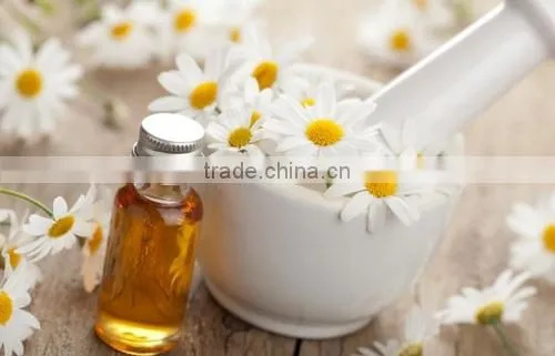 CHAMOMILE ROMAN OIL photo-2