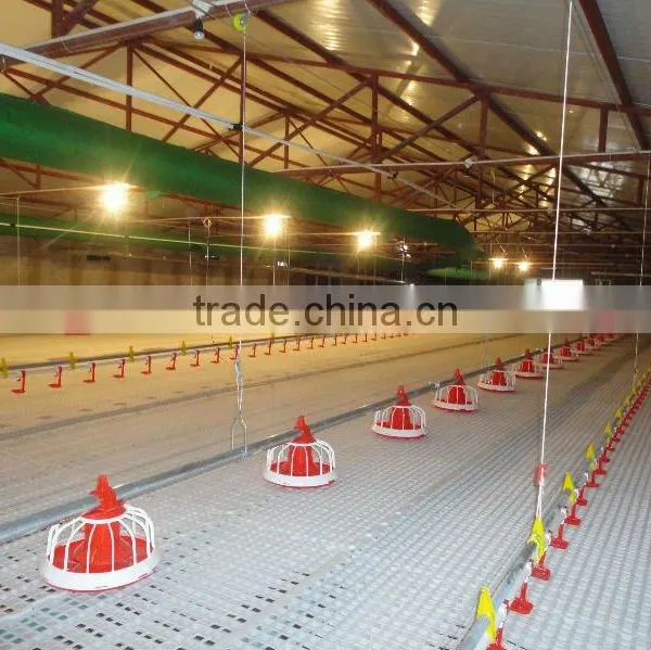 Fuhua Automatic DUCK Raising Feed Line photo-2