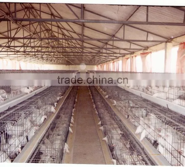 Poultry Equipments