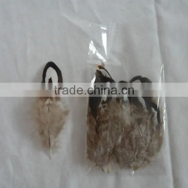 Fly Tying Feather Natural Feather