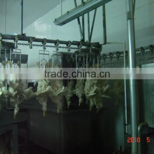 Slaughtering Equipment for Poultry Chicken Broiler Duck Goose Quail photo-2