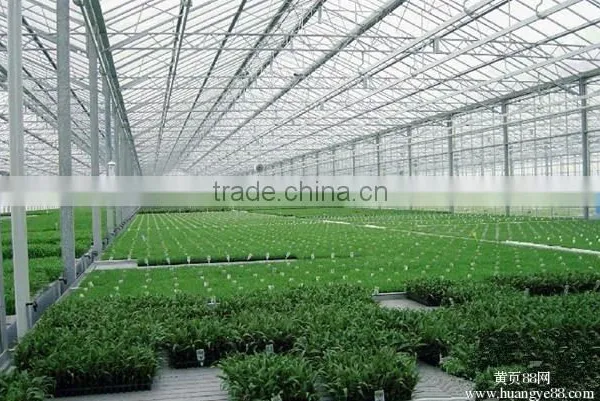 Light Frame Steel Structure Building for Greenhouse, Poultry Farm With Really Low Cost photo-4