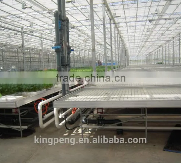 Tide Irrigation System for Nursery and Seedling Greenhouse photo-5