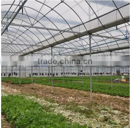 100% Bayer Reinforced Plastic Agriculture Greenhouse for Sale
