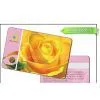Plastic Membership Card