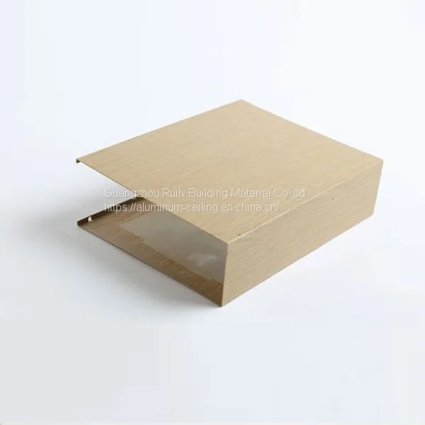 Aluminum Baffle Ceiling for Airport photo-4