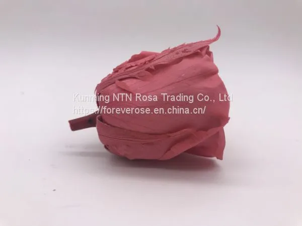 Preserved Fresh Flower Home Decoration Wedding Gifts photo-2
