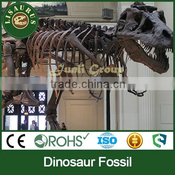 Lisaurus-I Dinosaur Fossil Sale Dinosaur Skull Head Life Size Dinosaur Skeleton Dinosaur Skeleton Puzzles