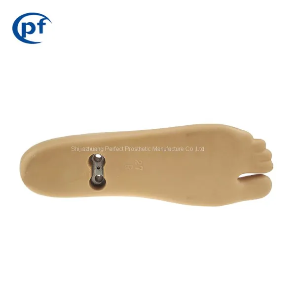 Prosthetic Lower Limbs Double Axis Foot, Artificial Limbs Feet photo-2