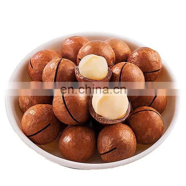 Not Roasted Macadamia Nuts Seeds Factory Price Macadamia Nuts Wholesale Roasted Macadamia Nuts photo-2