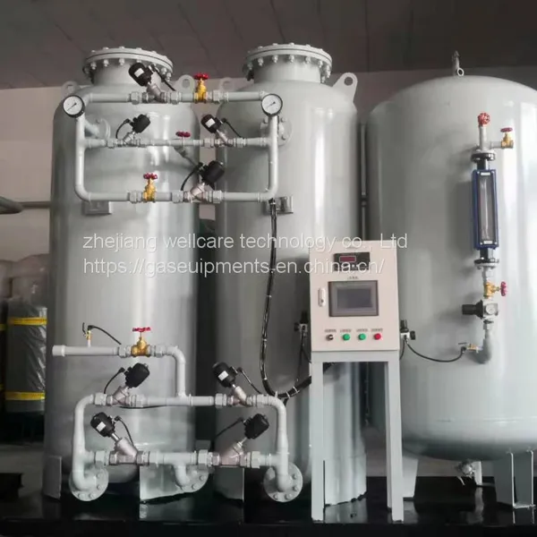 WellCare Oxygen Generators Use Pressure Swing Adsorption (PSA) Technology photo-4