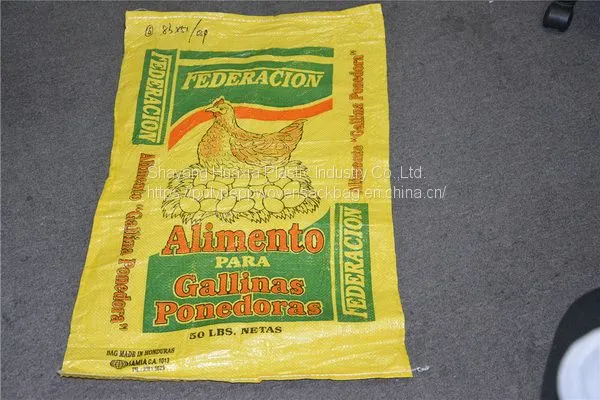 Fruit Vegetables 53*90cm 60*90cm Customized Logo for Potatoes Onions 25kg 30kg 50kg PE Leno Mesh Bag photo-3