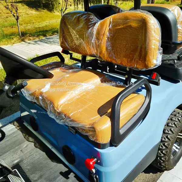 2024 New Luxury Electric Golf Cart photo-5