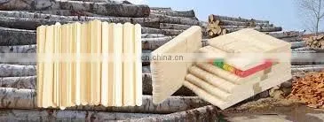 Famous Automatic Wood Rotary Cutting Machine Match Stick photo-3