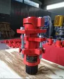 API Polish Rod Stuffing Box DPSB for Oilfield photo-3