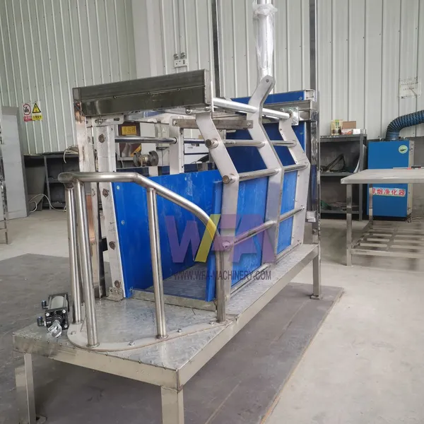 Complete 100 Pig Per Shift Abattoir Stunning Box For Hog Slaughtering Equipment photo-3