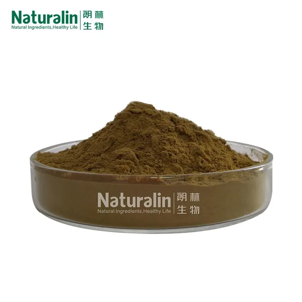 Reishi Mushroom Extract photo-4