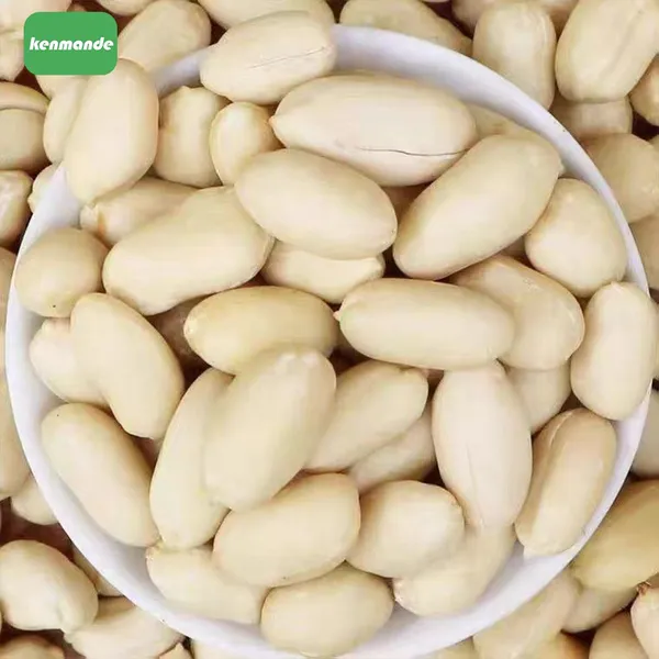 Bulk Blanched Peanut Kernels 35/39 for Commercial Grinding