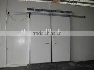 PU Panel Cold Room With Hinged Door/fruits Cold Storage photo-3