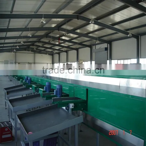 Orange Washing ,waxing ,grading and Packing Production Line photo-2