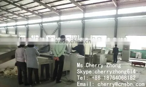 Thailand Rice Crackers Production Line photo-5