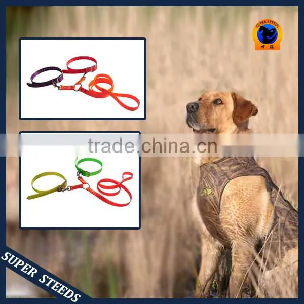 Colorful Hunting Dog Collar in Hunting Season photo-6