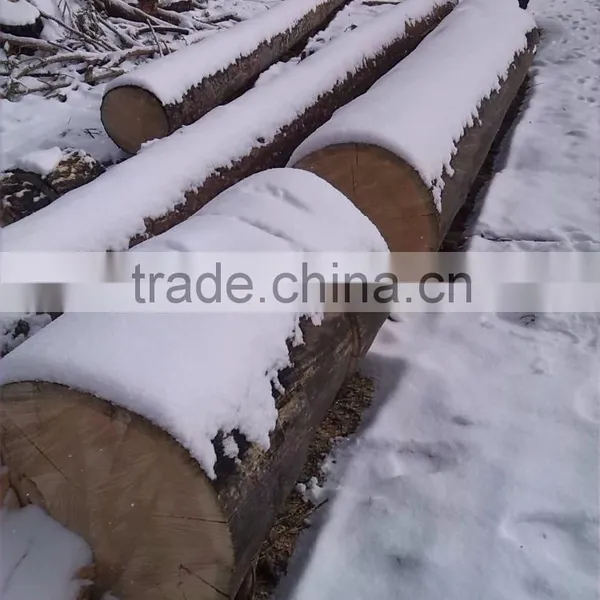 Pine Birch Logs FSC WOOD